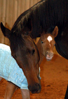 Waylon and Momma