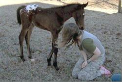 Imani kisses her human, Amy