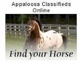 Appaloosa Classifieds Online