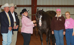 Show Judges and Cancer Survivors