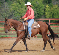 Indy under saddle with Jimmy Sego