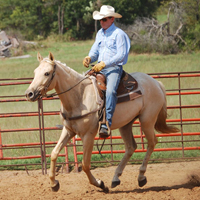 Maya under saddle with Jimmy Sego