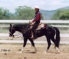 Mighty Black Bart